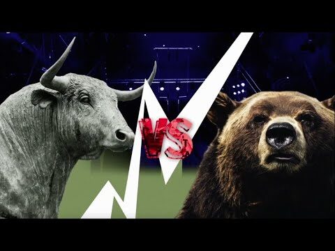 La relación entre el oso y el toro: un análisis conciso